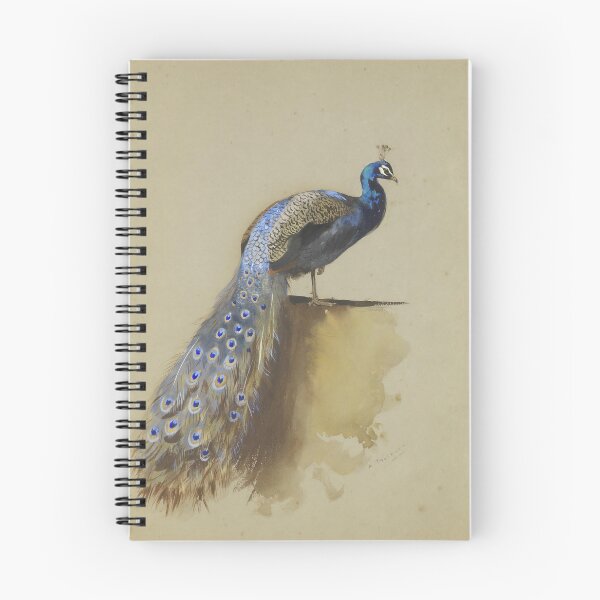 Item preview, Peacock designed and sold by Natural History Prints.