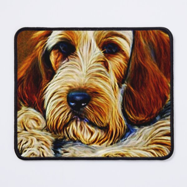Item preview, Briquet Griffon Vendeen Dog At Rest designed and sold by mrtom414.