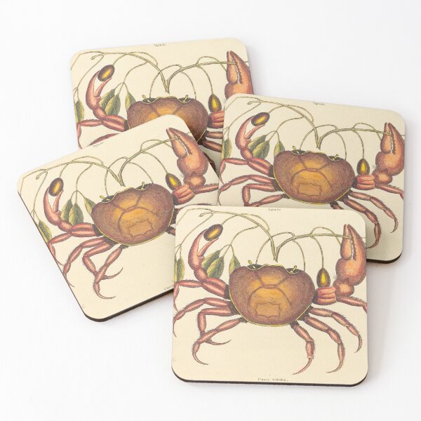 Item preview, Vintage Crab Mark Catesby Print designed and sold by Natural History Prints.