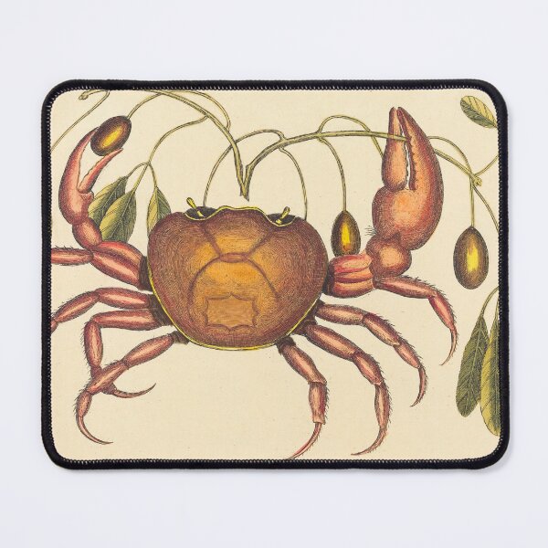 Item preview, Vintage Crab Mark Catesby Print designed and sold by Natural History Prints.