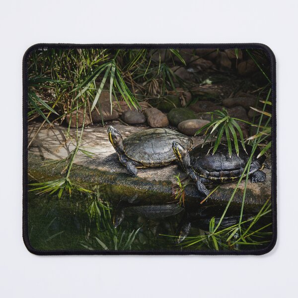 Item preview, Pair of Turtles Bask in the Sun designed and sold by KbytesOfJax Outdoor and Nature.