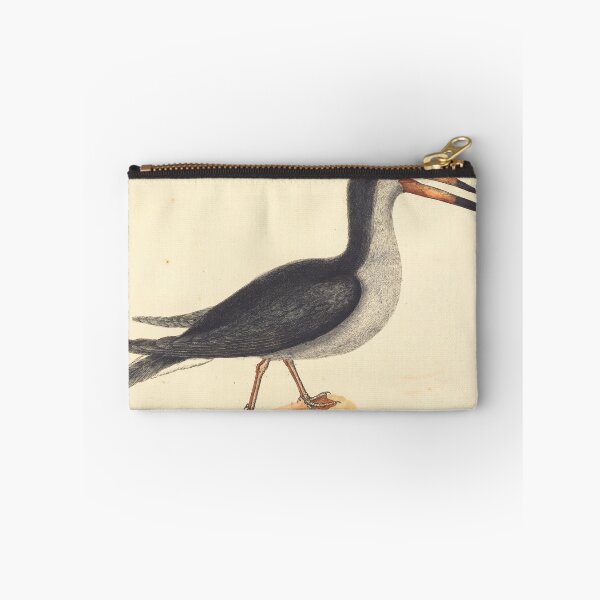 Item preview, Vintage Black Skimmer Bird Illustration designed and sold by Natural History Prints.