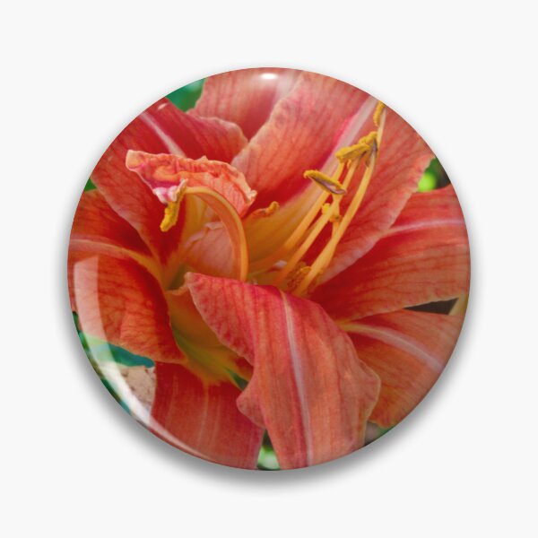 Item preview, Orange Lily designed and sold by Shulie1.