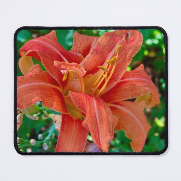 Item preview, Orange Lily designed and sold by Shulie1.