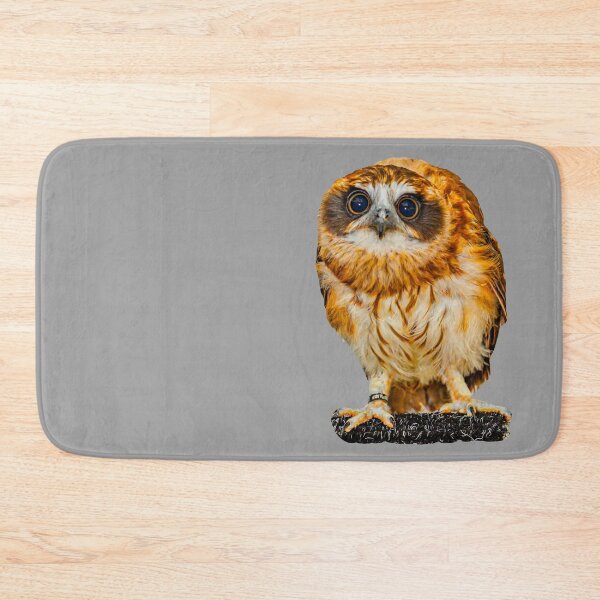 Item preview, Boobook stare! designed and sold by Dalyndigital Photography.