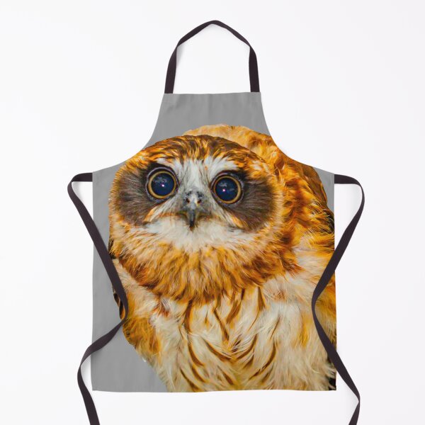 Item preview, Boobook stare! designed and sold by Dalyndigital Photography.