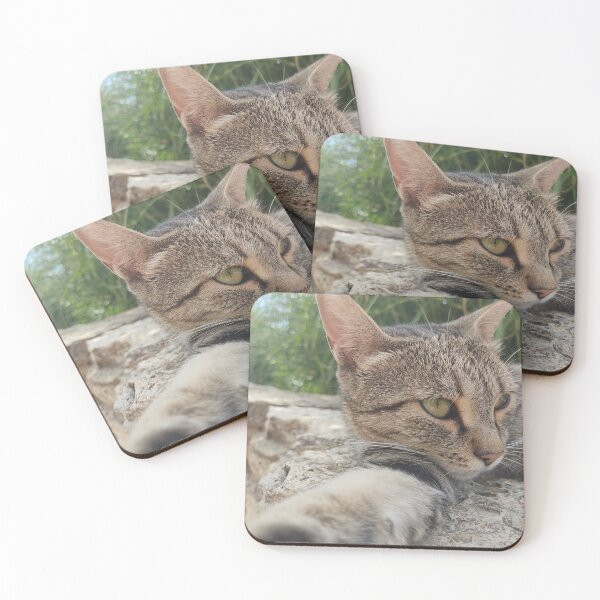 Item preview, Cat selfie designed and sold by Traveladicted.