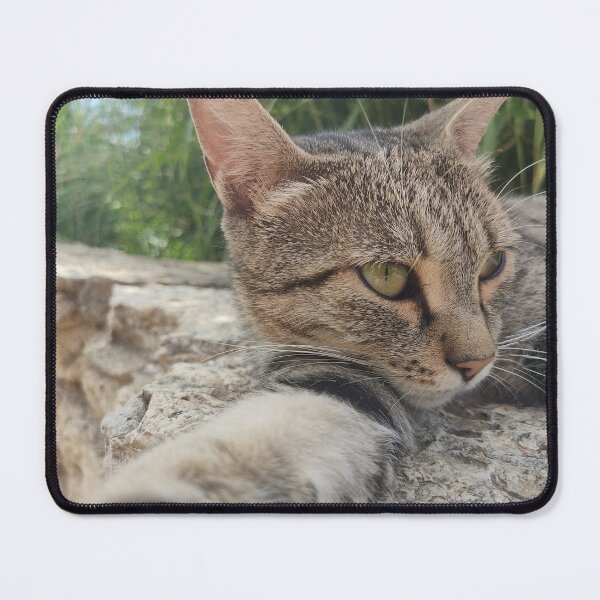 Item preview, Cat selfie designed and sold by Traveladicted.