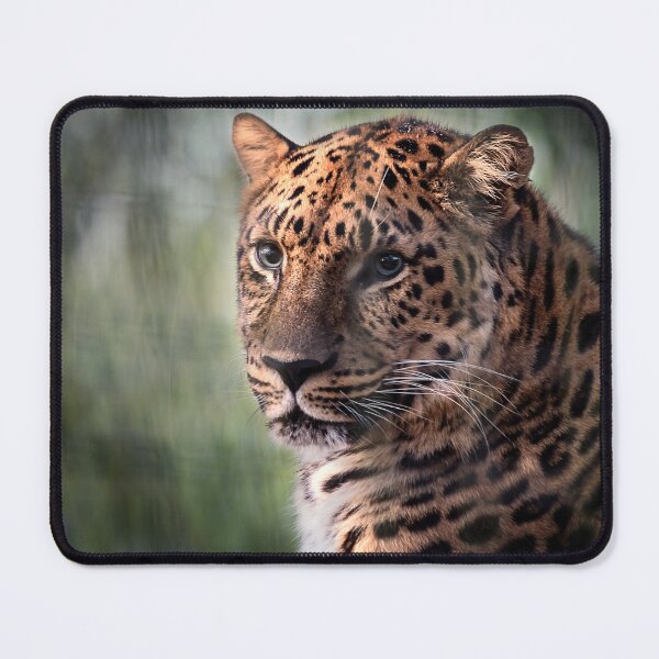 Item preview, Eyes of the Leopard  designed and sold by KbytesOfJax Outdoor and Nature.