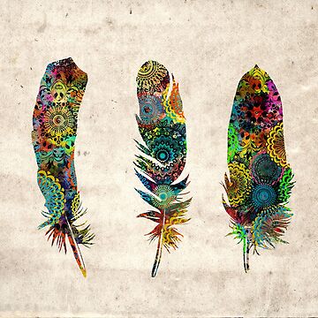Artwork thumbnail, feathers by BekimART