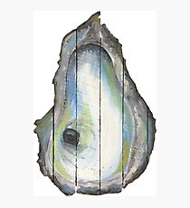 Lámina fotográfica Oyster pintado a mano en madera