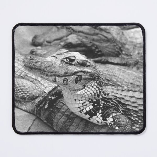 Item preview, Proud Amazonian Baby Crocodile designed and sold by JerryFrank.