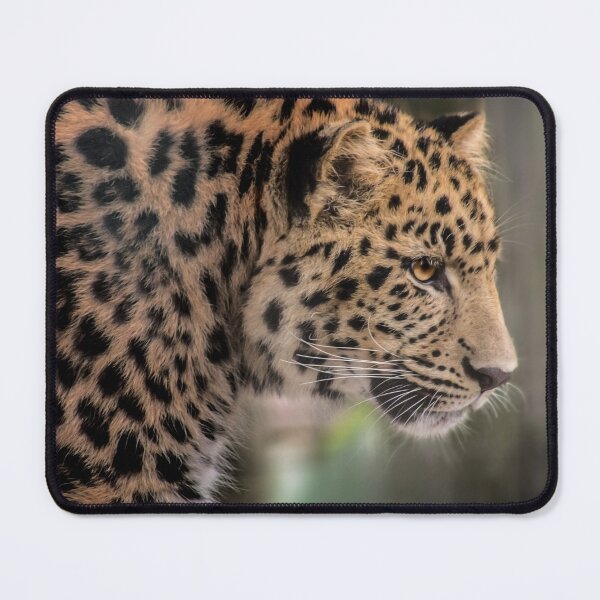 Item preview, This side of the Leopard  designed and sold by KbytesOfJax Outdoor and Nature.
