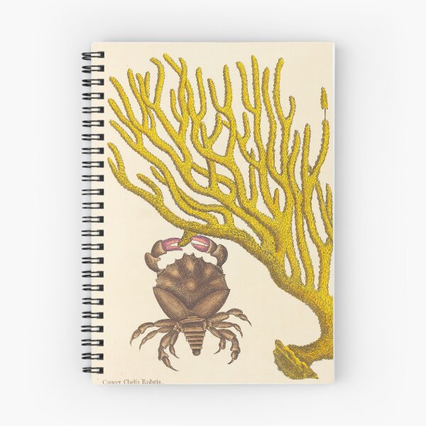 Item preview, Red Clawed Crab by Mark Catesby, 18th Century designed and sold by Natural History Prints.
