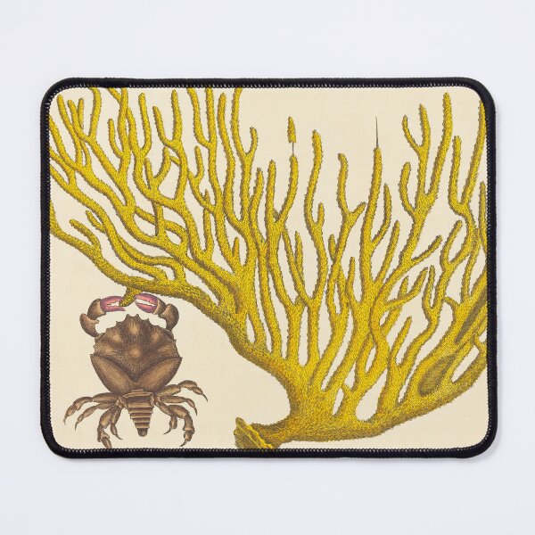 Item preview, Red Clawed Crab by Mark Catesby, 18th Century designed and sold by Natural History Prints.