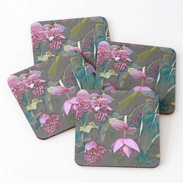 Item preview, Medinilla designed and sold by John Rivera.