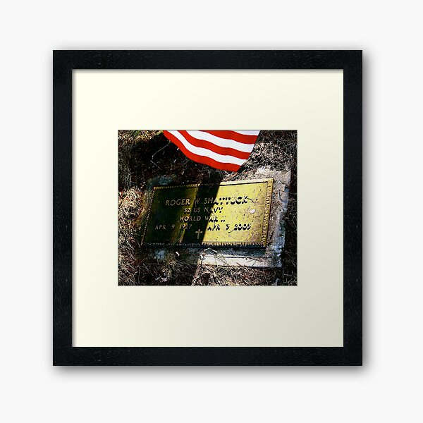Patriot Passed ... Framed Art Print