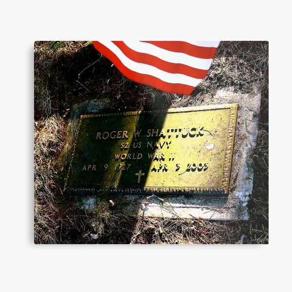Patriot Passed ... Metal Print