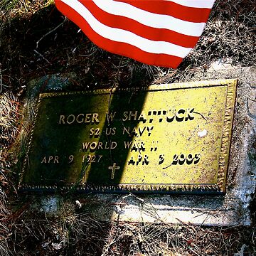 Artwork thumbnail, Patriot Passed ... by Alvin C Whaley