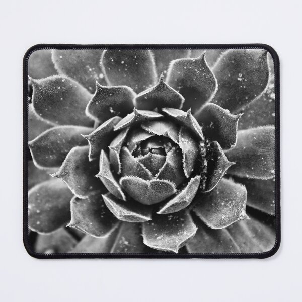 Item preview, Sempervivum tectorum designed and sold by Dominika Aniola.