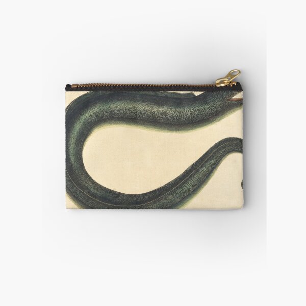 Item preview, Vintage Moray Eel Print by Mark Catesby, 18th Century designed and sold by Natural History Prints.