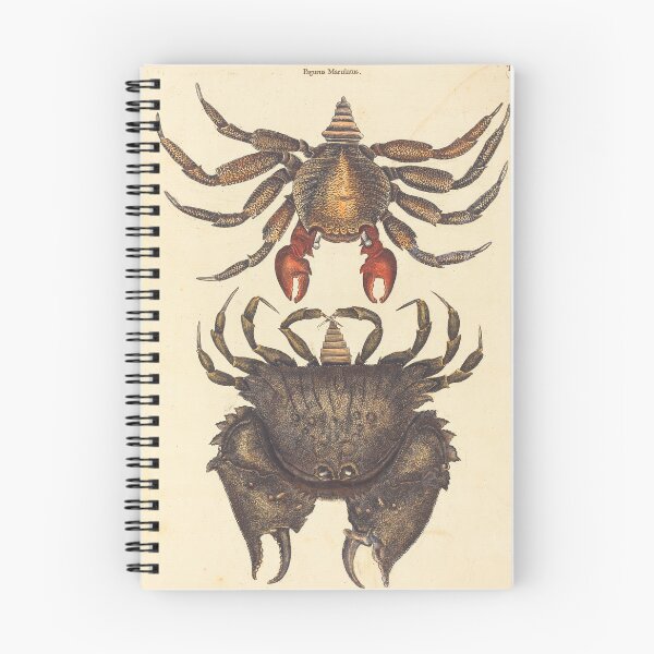 Item preview, Red Mottled Rock-crab by Mark Catesby, 18th Century designed and sold by Natural History Prints.