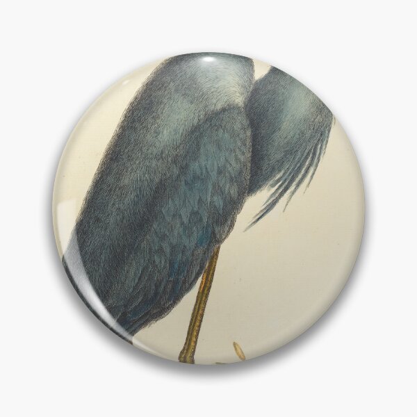 Item preview, Blue Heron by Mark Catesby, 18th Century designed and sold by Natural History Prints.