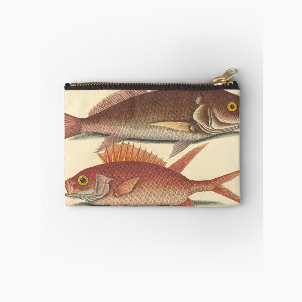 Item preview, Croaker Fish Illustration by Mark Catesby, 18th Century designed and sold by Natural History Prints.