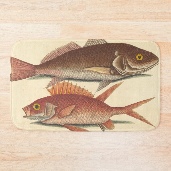 Item preview, Croaker Fish Illustration by Mark Catesby, 18th Century designed and sold by Natural History Prints.