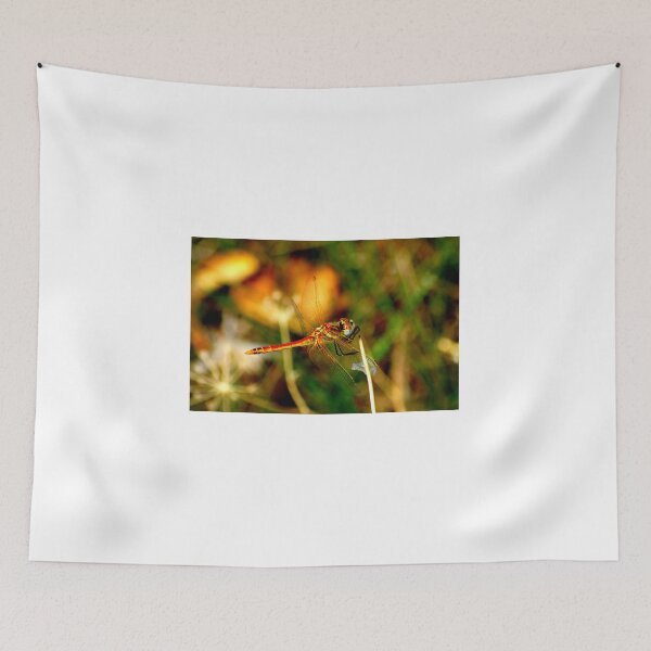 Item preview, dragon-fly designed and sold by karlosss.