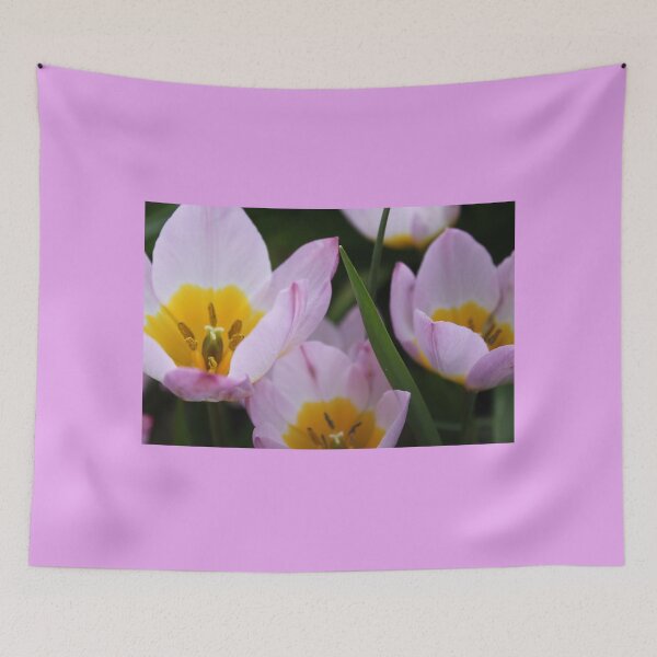 Item preview, Purple Tulip Flowers picture designed and sold by naturematters.