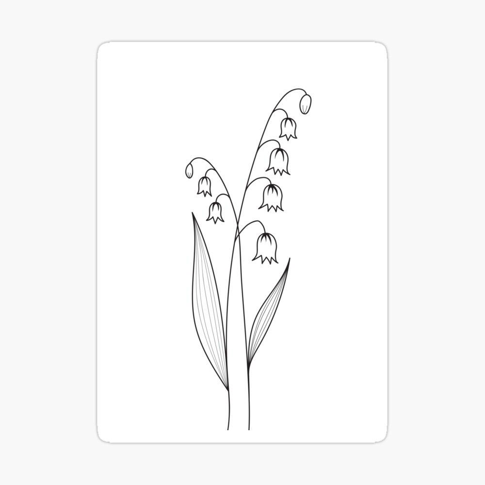 Download the Easy sketch art of lily flower, line art bouquets of floral  hand drawn illustration, doodle zentangle, tatto… | Sketches easy, Art  sketches, Vector art