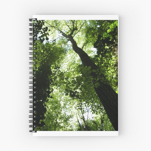 Item preview, forest designed and sold by karlosss.