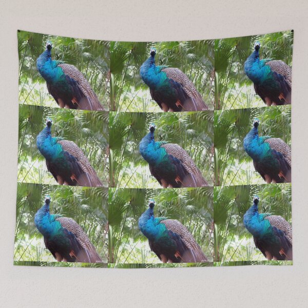 Item preview, A proud blue peacock, lol designed and sold by naturematters.