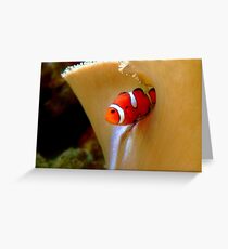 Clownfish Greeting Card