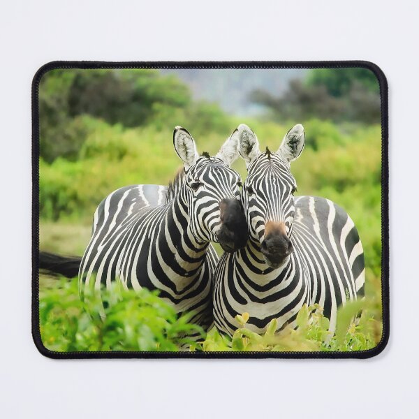 Item preview, Two Zebras designed and sold by Taceo10.