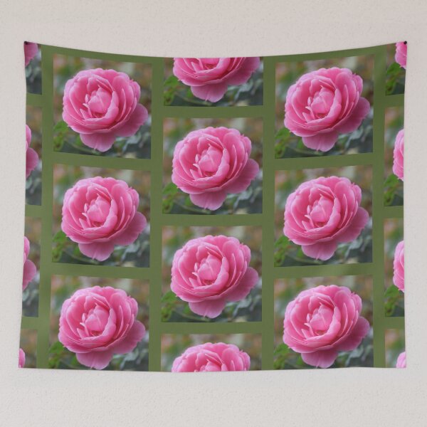 Item preview, Pretty pink rose flower  photo print. designed and sold by naturematters.