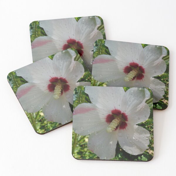 Item preview, Gorgeous Flower designed and sold by Zarabeaver.