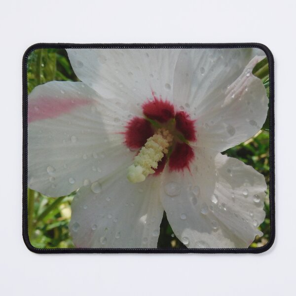 Item preview, Gorgeous Flower designed and sold by Zarabeaver.