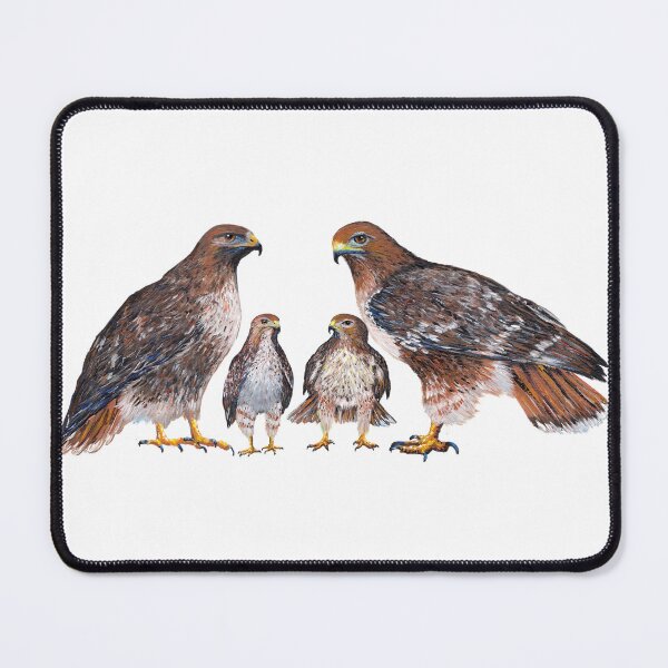 Item preview, Red Tailed Hawk Family designed and sold by Roy & Tiffany.