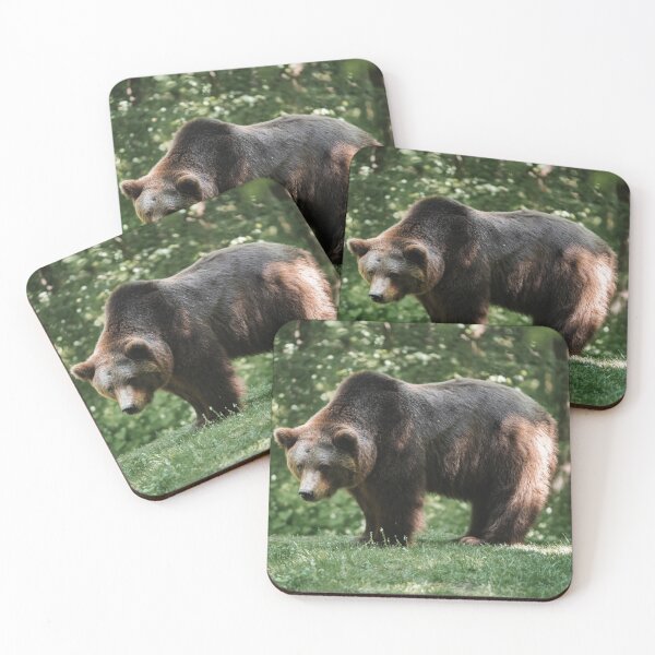 Artikelvorschau, Brown Bear entworfen und verkauft von photo-dude.