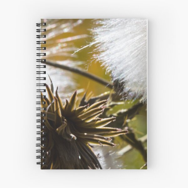 Item preview, Burrs in fall designed and sold by CanadianWild418.