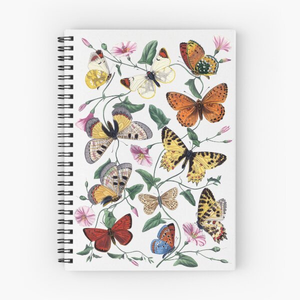 Item preview, Vintage butterfly & moth collection painting designed and sold by TrendyMerchHere.