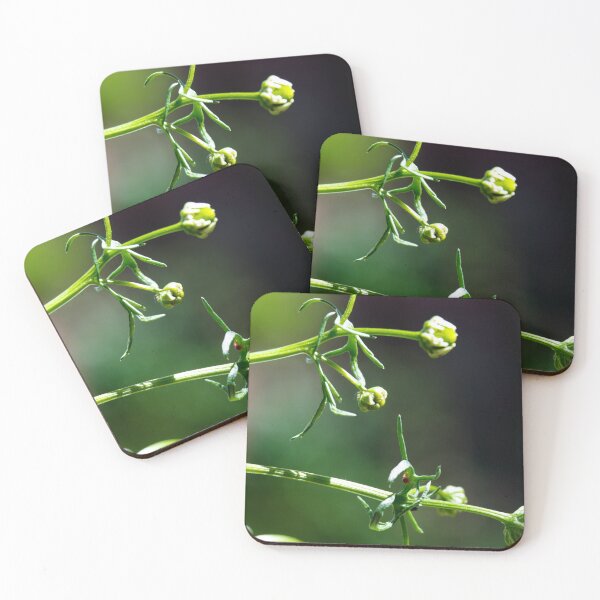 Item preview, Flower buds designed and sold by CanadianWild418.