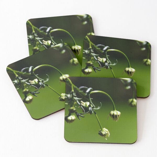 Item preview, Flower buds designed and sold by CanadianWild418.