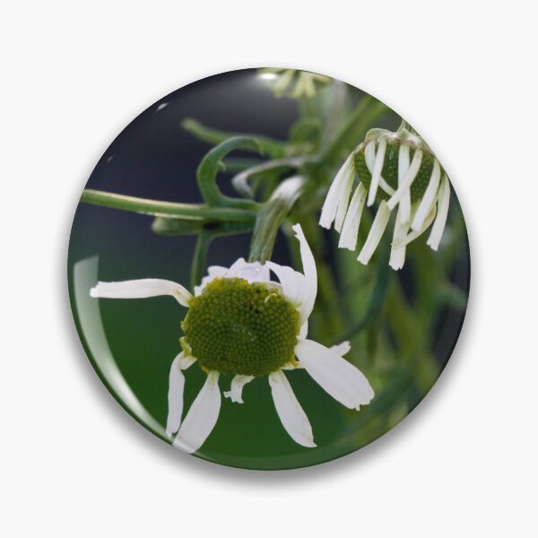 Item preview, Flowering designed and sold by CanadianWild418.