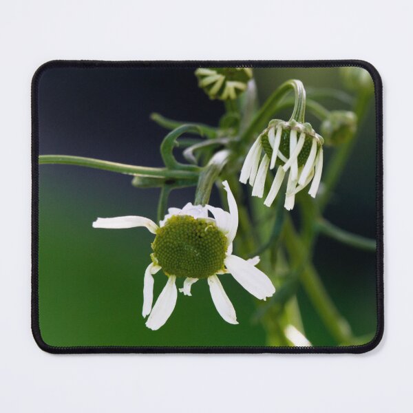 Item preview, Flowering designed and sold by CanadianWild418.