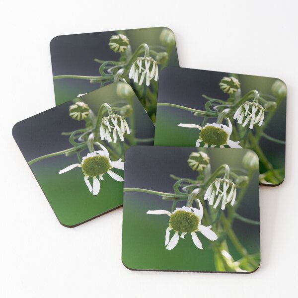 Item preview, Flowering designed and sold by CanadianWild418.