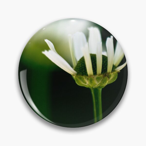 Item preview, Bloom shadowed designed and sold by CanadianWild418.
