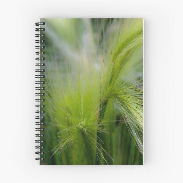Item preview, Foxtail in macro designed and sold by CanadianWild418.